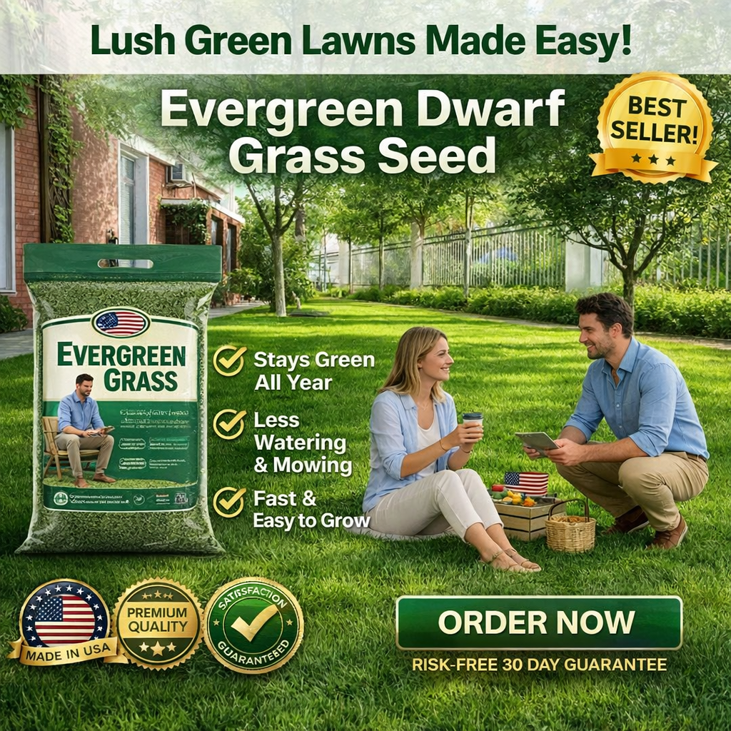 /69cffd093274ed00097ec710/2026/04/16/product-img-69e11e0e373c02bd69cc0899.png